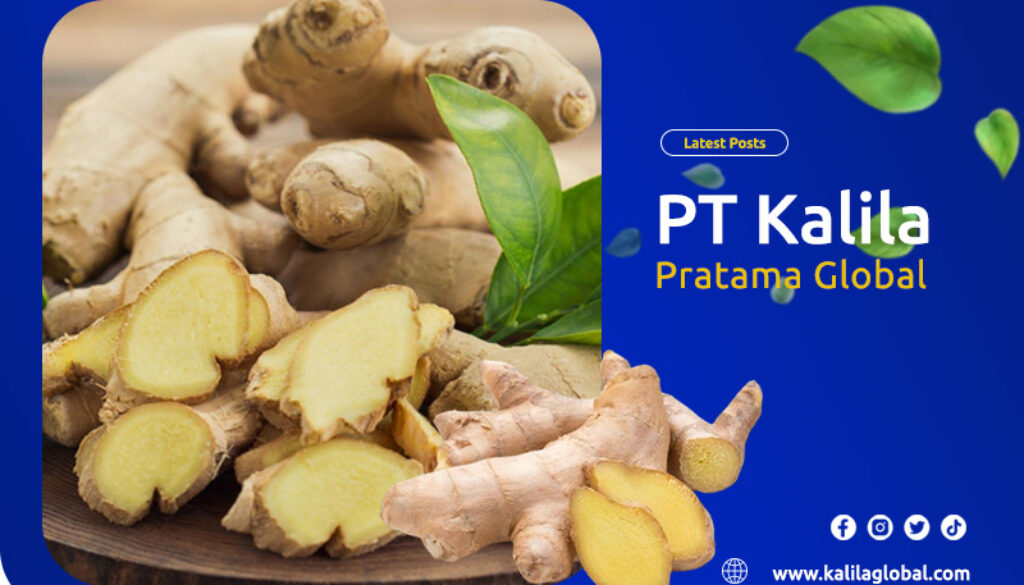 artikel kalila pratama global 1