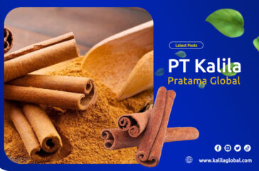artikel kalila pratama global 2