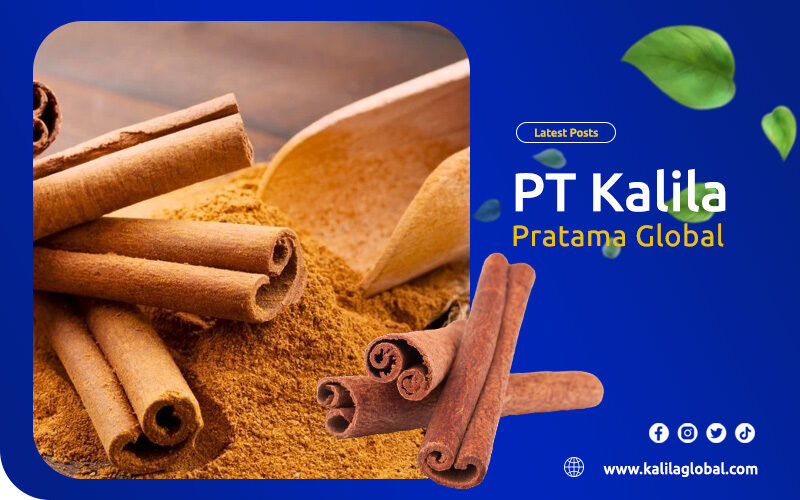 artikel kalila pratama global 2