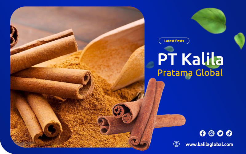 artikel kalila pratama global 2