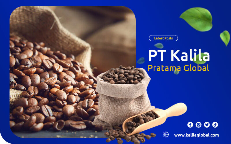 artikel kalila pratama global 3