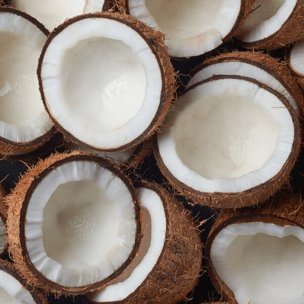 Coconut Products