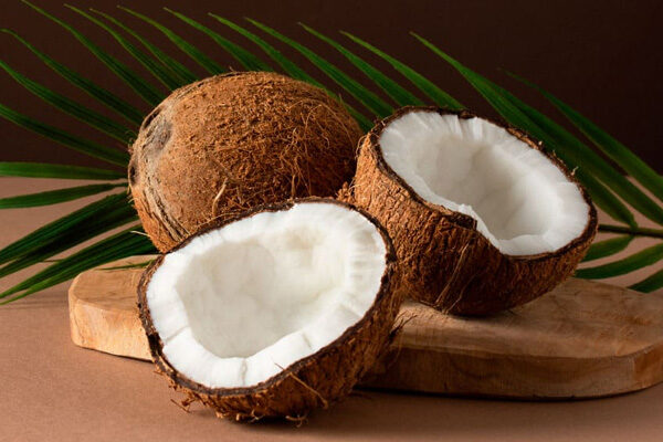 coconut