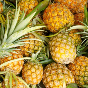 Pineapple