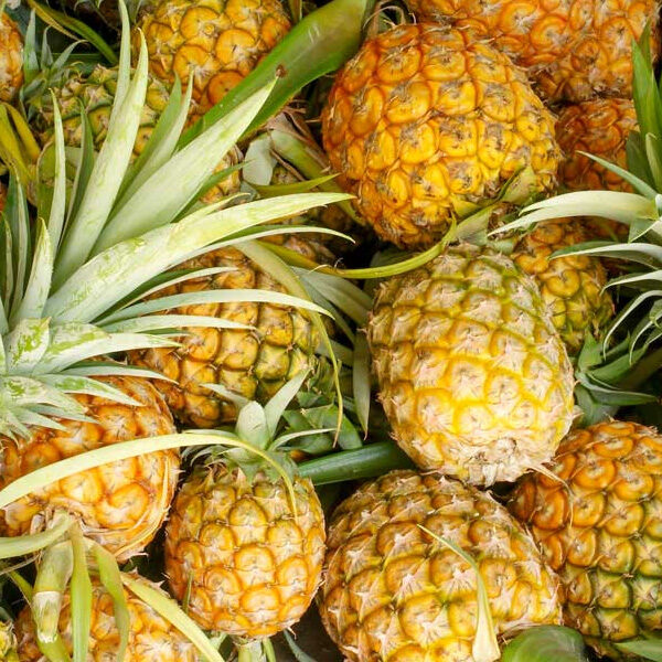 Pineapple