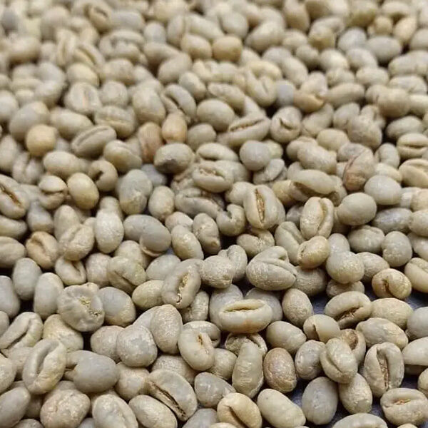 Robusta Coffee Beans